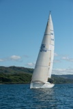 golden fox gbr4770r whyw22 sun 800_2133yi